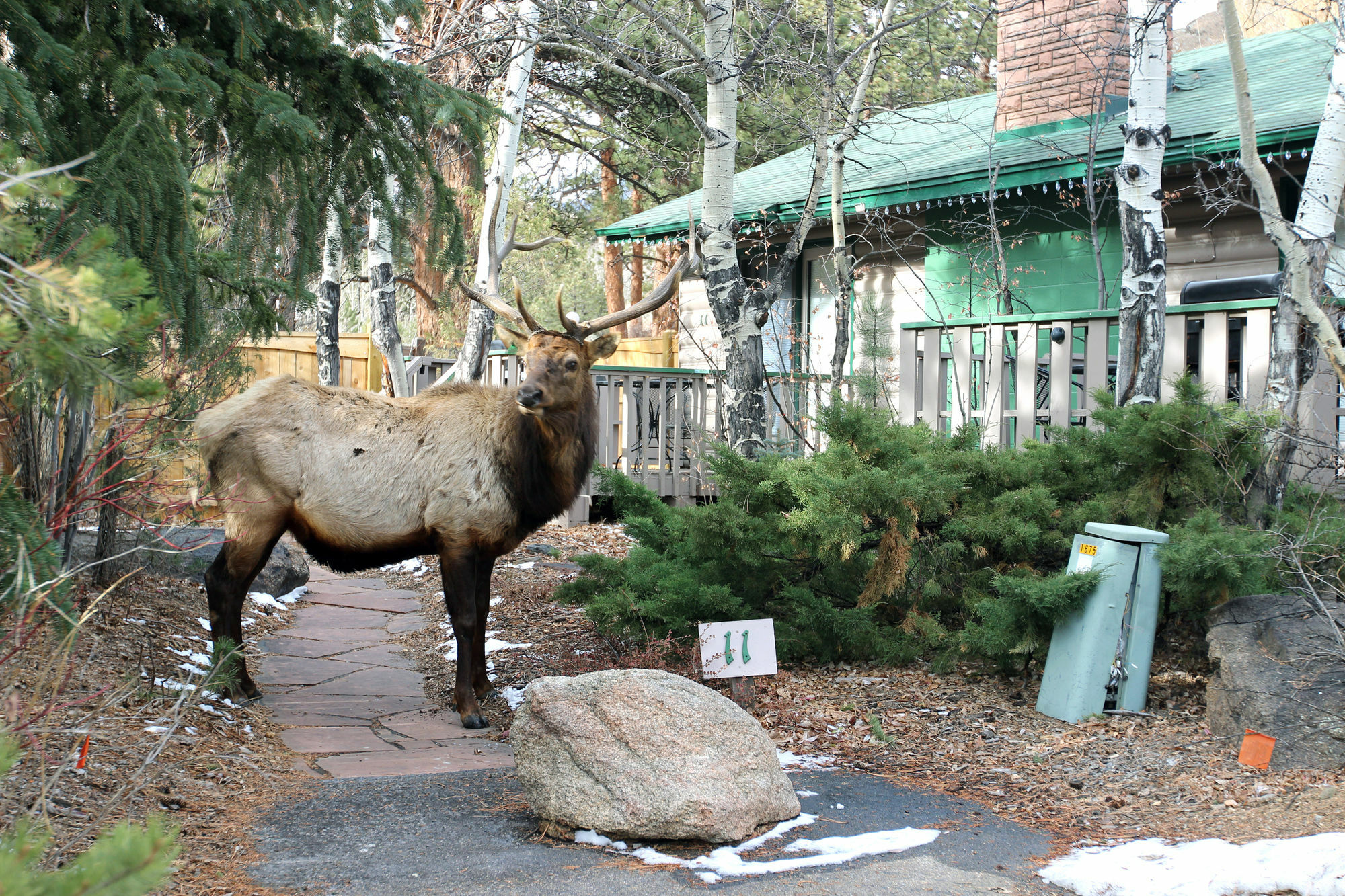 Sunnyside Knoll Resort 에스테스 파크 외부 사진